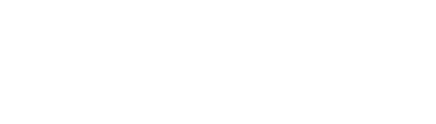Rally On the Runway Challenge