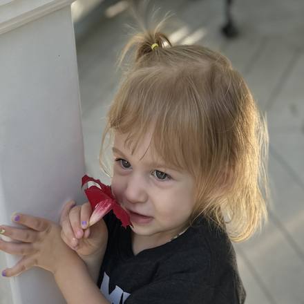 Rally Kid Paisley