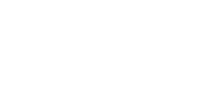Rally Foundation