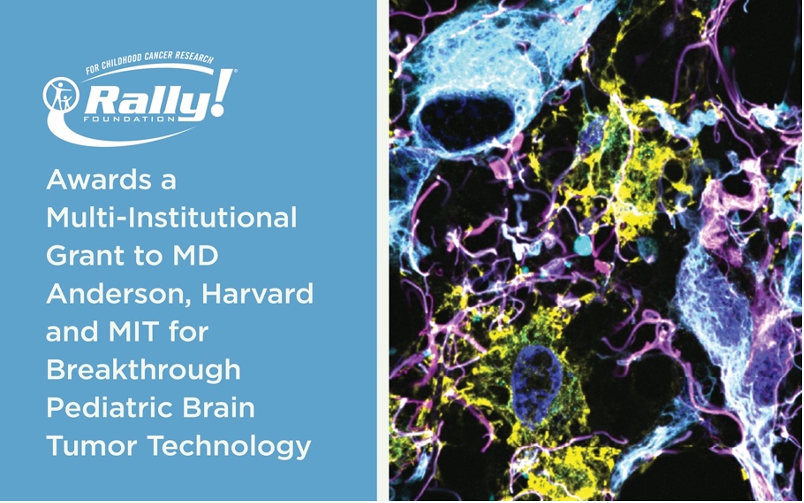Rally Foundation for Childhood Cancer Research Awards a Multi-Institutional Grant to MD Anderson, Harvard and MIT for Breakthrough Pediatric Brain Tumor Technology