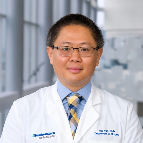 Tao Yue, PHD