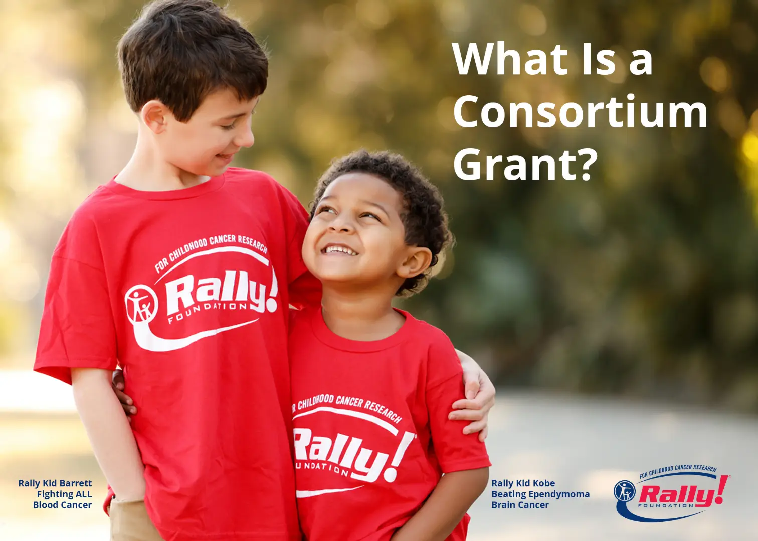 What Is a Consortium Grant?