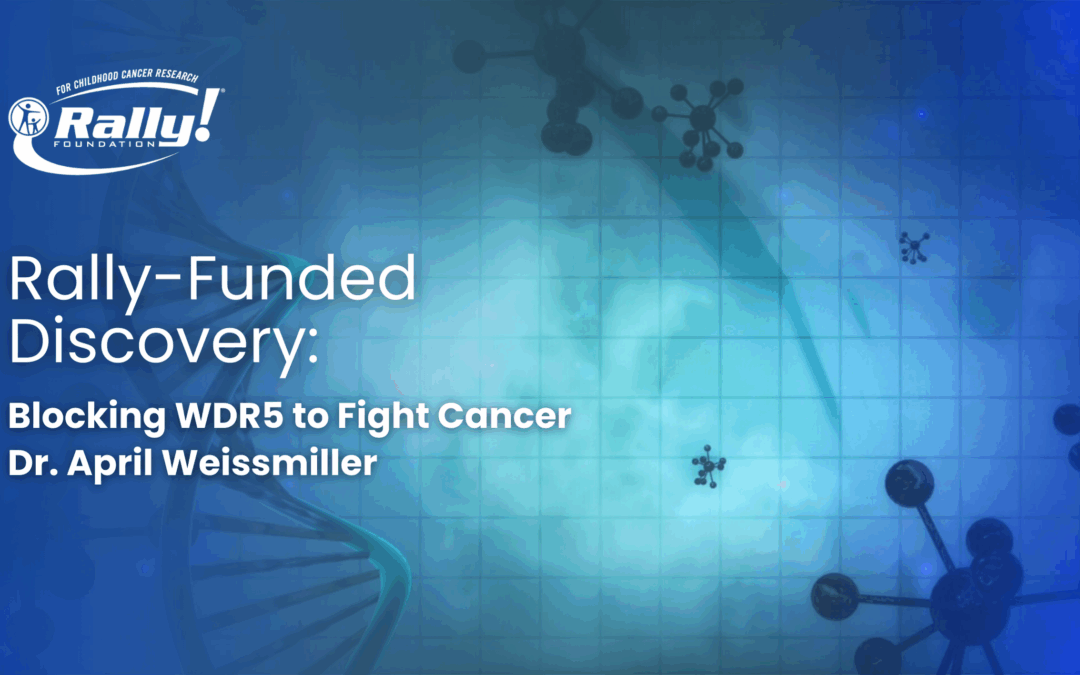 Blocking WDR5 to Fight Cancer