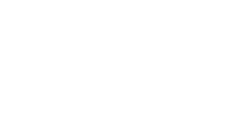 Rally Foundation logo