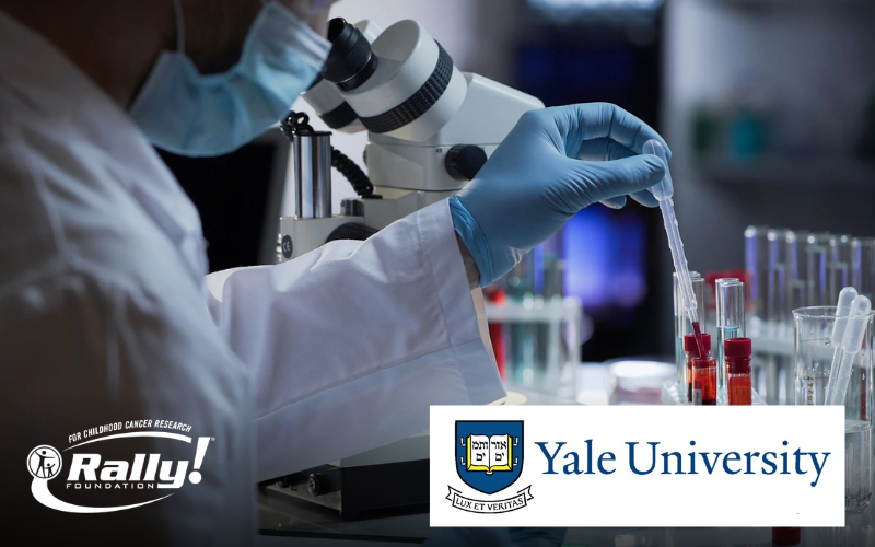 Yale Study Identifies New Drug Targets for Aggressive Leukemia